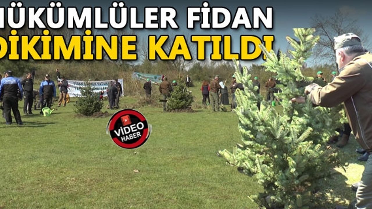 ADALET ORMANI'NA 1000 FİDAN DİKİLDİ