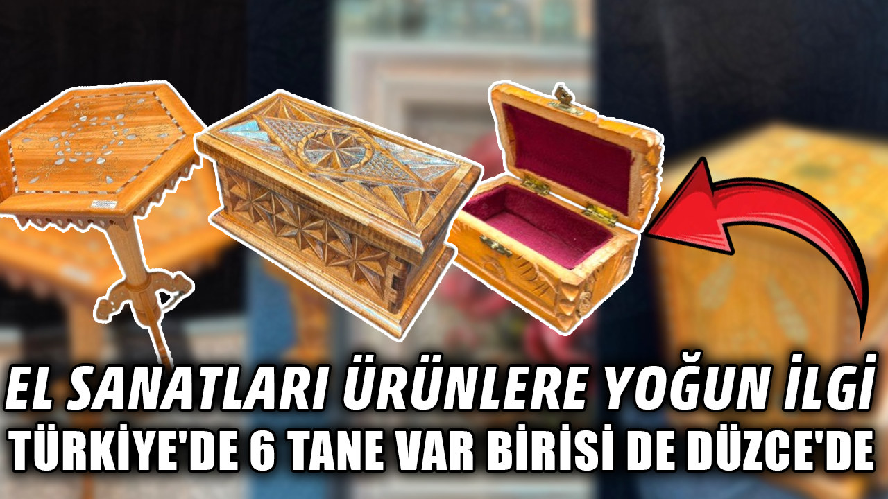 DÜZCE'Yİ EL EMEĞİ ÜRÜNLERLE ANKARA'DA TEMSİL ETTİLER