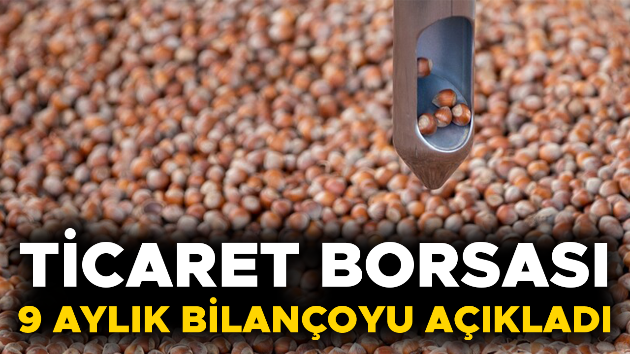 DÜZCE’DE REKOR FINDIK SATIŞI YAPILDI