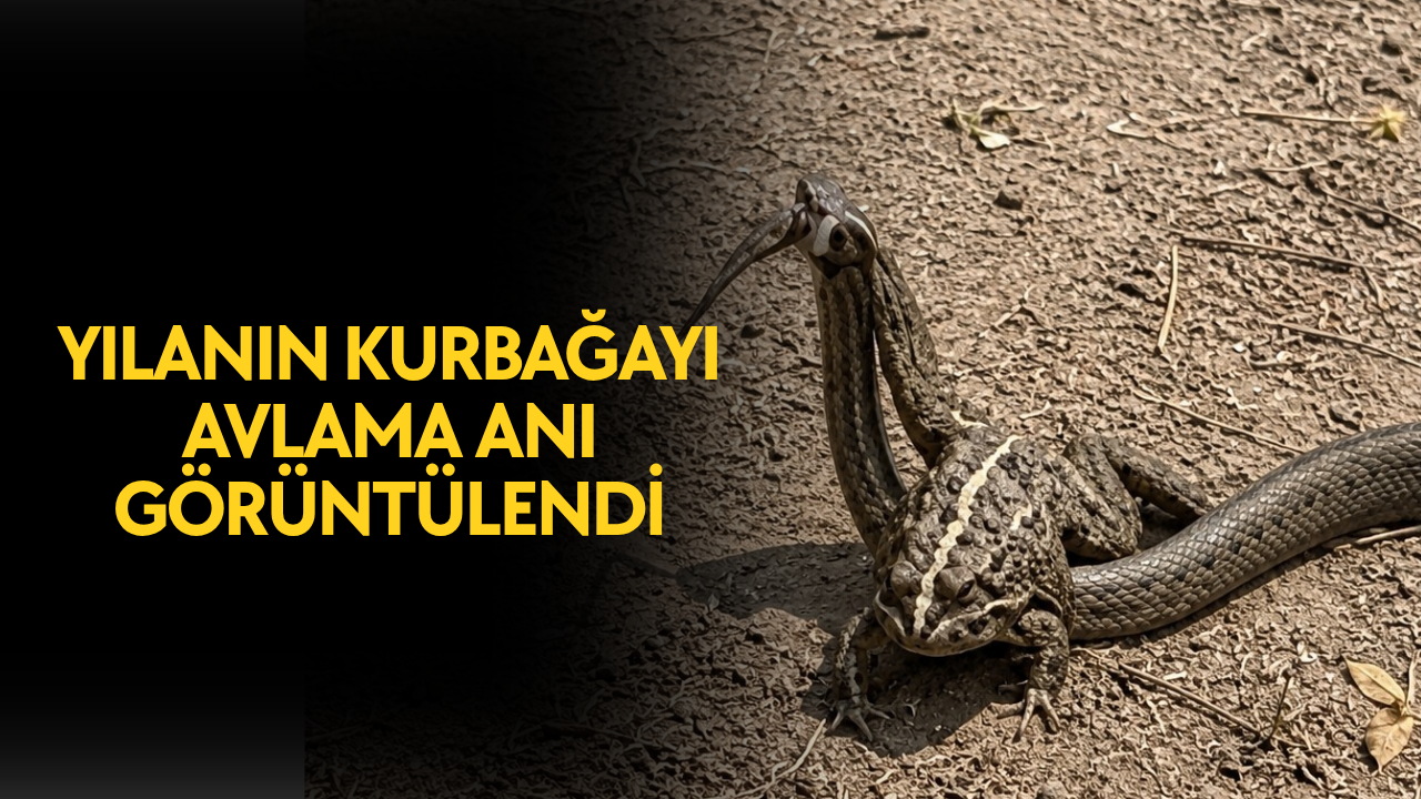 BELGESEL TADINDAKİ DOĞAL GÖRÜNTÜLER KAMERAYA YANSIDI