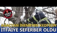 HAVA ALMAYA ÇIKARILAN AFACAN SAHİBİNE TESLİM EDİLDİ