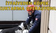 ÇATIDA MAHSUR KALAN KÖPEK KURTARILDI