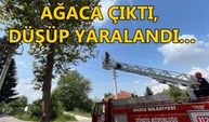 YARAMAZ KEDİ İTFAİYEYİ HAREKETE GEÇİRDİ