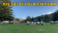 YAYLA MEVSİMİ SONA ERDİ