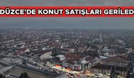 DÜZCE'DE KONUT SATIŞLARI GERİLEDİ