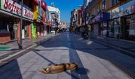 DÜZCE DENİLİNCE AKLINIZA NE GELİYOR?’ SORUSUNA DÜZCELİLER NE DEDİ?