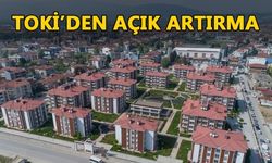 İŞ YERLERİ İÇİN MÜZAYEDE YAPILACAK