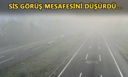 SICAKLIK SIFIRIN ALTINA DÜŞTÜ KIRAĞI VE SİS ETKİLİ OLDU