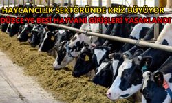 HAYVAN PAZARININ KAPISINA KİLİT VURDU