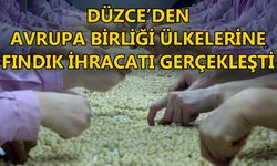 2 AYDA 754 TON FINDIK İHRAÇ EDİLDİ