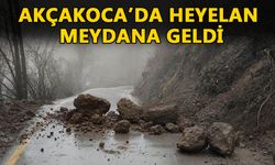 AŞIRI YAĞIŞLAR HEYELANA SEBEP OLDU