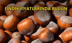 EN DÜŞÜK FİYAT 48 TL