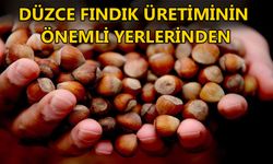 BİN 430 TON FINDIK İHRAÇ EDİLDİ