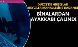 HIRSIZ GÜVENLİK KAMERALARINA YAKALANDI