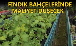 HEDEF: DÜZCE’NİN KÜLTÜR FINDIĞINI ÜRETEBİLMEK
