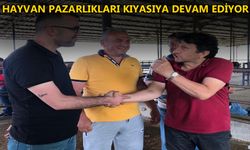 HAYVAN PAZARINDA BAYRAM YOĞUNLUĞU YAŞANIYOR