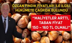 “TÜRK FINDIĞININ FİYATINI YABANCI ÜLKELER BELİRLEYEMEZ”