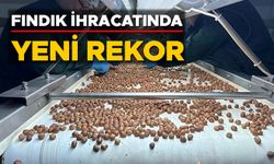 RAKAMLAR YARIM MİLYON DOLARA YAKLAŞTI