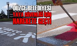 YAYA GEÇİTLERİNDEKİ ÇİZGİLER YENİLENİYOR