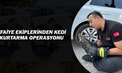 MİNİK YAVRU SIKIŞTIĞI YERDEN KURTARILDI