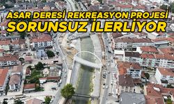 4 MÜDÜRLÜKTEN HUMMALI ÇALIŞMA