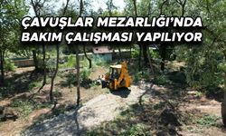 DÜZCE MEZARLIKLARINDA BAKIM VE TEMİZLİK ÇALIŞMALARI SÜRÜYOR