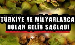 FINDIK YİNE İHRACAT ŞAMPİYONU OLDU