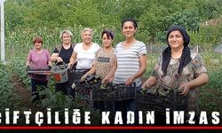 KADINLAR KURDUKLARI KOOPERATİF İLE ÇİFTÇİ OLDU