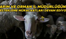 DÜZCE’DE ÇOK SAYIDA ÜRETİCİ BAŞVURDU…