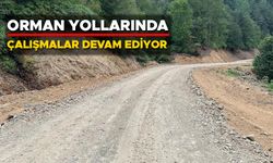 GÖLYAKA’DAKİ 20 KİLOMETRELİK YOL TAMAMLANDI