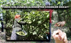 ÇAY VE GAZLI İÇECEKLER YERİNE BUNLARI TÜKETİN