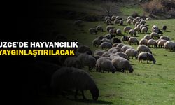 KARAR RESMİ GAZETE’DE YAYIMLANDI