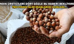 FINDIK ALIMLARI O TARİHTE BAŞLAYACAK…