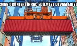 DÜZCE’DE İLK 7 AYDA 7 BİN 658 TON İHRAÇ EDİLDİ