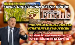 AÇIKLANAN FİYATLAR İLE FINDIK ÜRETİCİSİ DAHA DA DİBE VURDU