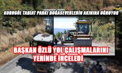 “DÜZCE TURİZMİNDE ÖNEMLİ BİR YERE GELECEK”