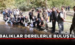 DÜZCE’DE 15 BİN KIRMIZI BENEKLİ ALABALIK DERELERE SALINDI