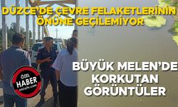 ÖLÜ BALIKLAR SUYUN YÜZEYİNE ÇIKTI