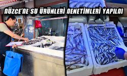 “KONTROLLER ARTARAK DEVAM EDECEKTİR”