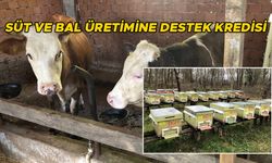 DÜZCE’DE ORMAN KÖYLÜLERİNE DESTEK KREDİSİ VERİLDİ