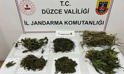 2 KİLO 260 GRAM SKUNK MADDESİ ELE GEÇİRİLDİ