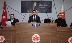 İL GENEL MECLİSİ OCAK AYI 3’ÜNCÜ TOPLANTISI YAPILDI