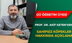 KETEN: “SAHİPSİZ KÖPEKLER İÇİN KISIRLAŞTIRMA VE BARINAK İYİLEŞTİRMELERİ GEREKİYOR”