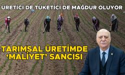 “GİRDİ PİYASASI SIKI DENETLENMELİ”