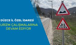 YIĞILCA – YEDİGÖLLER YOL GÜZERGAHINA  YÖN TABELALARI YERLEŞTİRİLDİ