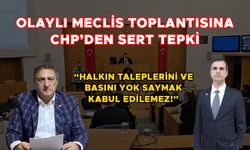 “ELEŞTİRİYE TAHAMMÜL SIFIR”