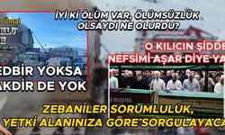 MİLLET OLARAK BİZ BU HALE NASIL GELDİK?