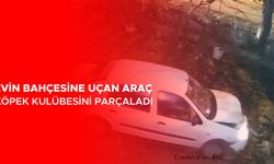 KAZADA 1 KİŞİ YARALANDI, KÖPEK TELEF OLDU