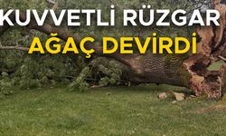 YAĞMUR ANİDEN BASTIRINCA…