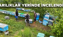 YIĞILCALI ARICILARA DESTEK SAĞLANACAK